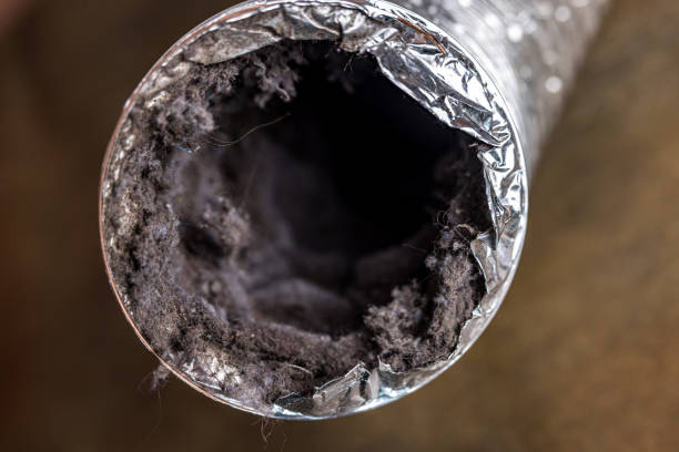 Best Air Duct Cleaning Near Me  in Blakely, PA
