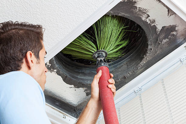 Best Emergency Air Duct Cleaning  in Blakely, PA